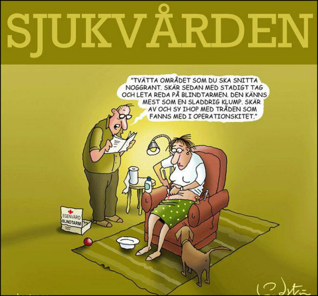 svensk_sjukvard_-630x587