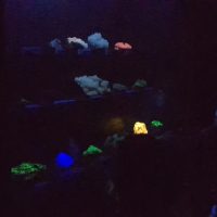 20181028_114347